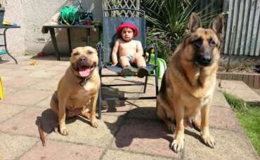 Preparing Your Dog for a New Baby: Tips for a Smooth Transition