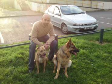 Building a Strong Dog-Handler Relationship