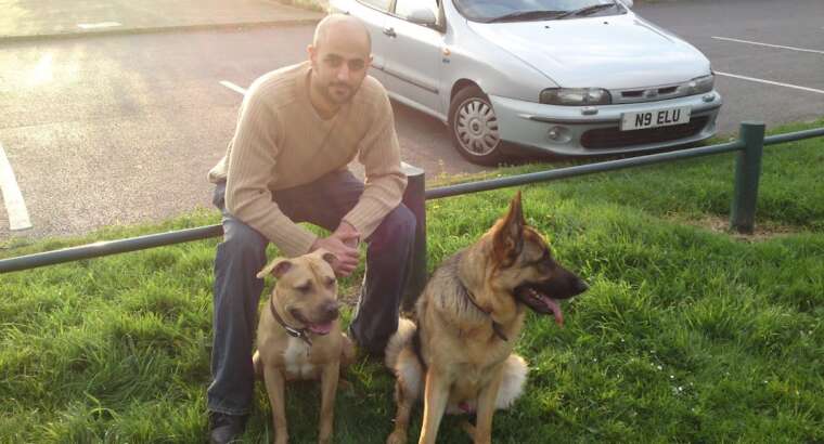 Building a Strong Dog-Handler Relationship